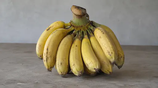 One whole banana bunch rests upright supported by its thick stem on a plain surface in soft side light.
