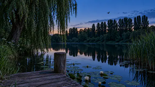 One small bat flits across the pale dusk sky above a perfectly glassy pond that mirrors the silhouettes of a weeping willow, a jetty post, a reed bed and a far line of poplars in deep blue-hour light.
