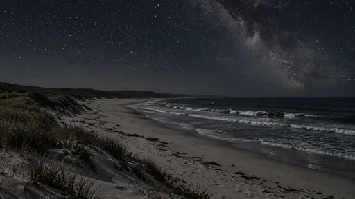 A pale curving shoreline sweeps away into darkness under an open starry night sky with low surf folding along its length.