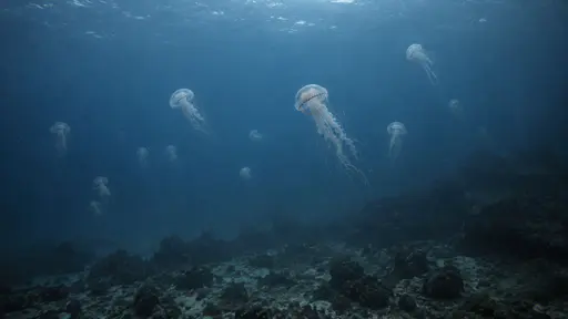 A distant group of jellyfish drifts above a dark seabed far below in deep blue water with their bells small and pale against the depth.