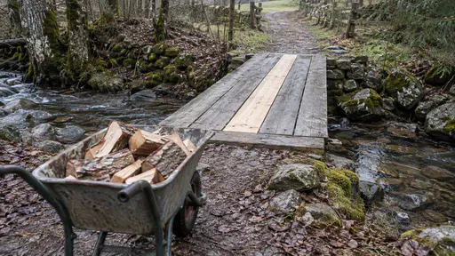 A single new pale plank completes a plank bridge over a narrow stream with older grey planks on either side, a wheelbarrow of firewood waiting at the near end and a path continuing on the far bank in cool morning light.