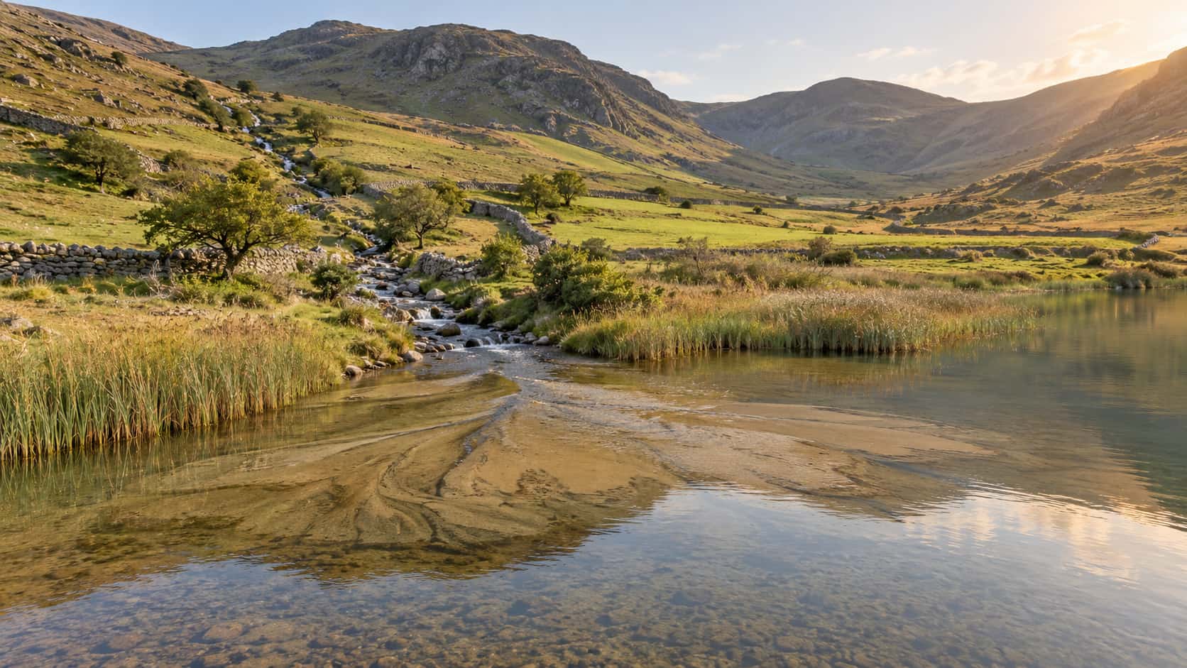 A fine-sediment delta fan spreads in pale lobes into a still lake where a stream arrives with shallow golden water over the fan, reeds at the edges and soft valley slopes behind in low warm evening light.