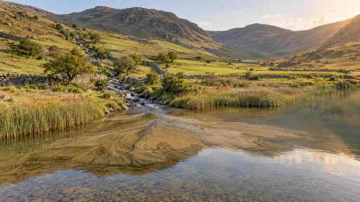 A fine-sediment delta fan spreads in pale lobes into a still lake where a stream arrives with shallow golden water over the fan, reeds at the edges and soft valley slopes behind in low warm evening light.