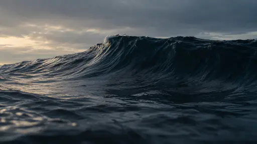 One steep dark swell rises in a smooth wall of water against a flat open horizon under a dim sky in low dark light on open sea.