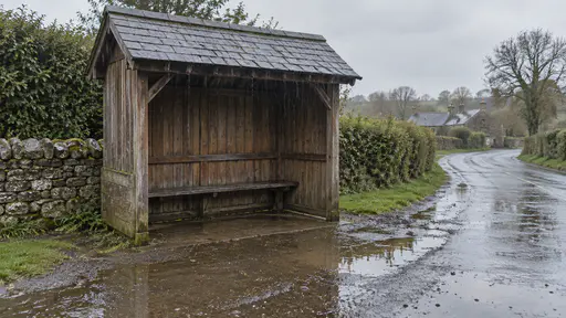 A small timber village road shelter beside a puddled road has a wet bench inside and rain dripping from its roof edge with hedges and a stone wall behind in flat rainy light.