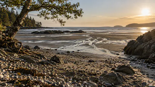 Braided silver runnels of water split and rejoin as they drain across wide wet sand flats toward the distant retreating water in low sun with the dark stones and a rock outcrop dark against the light.