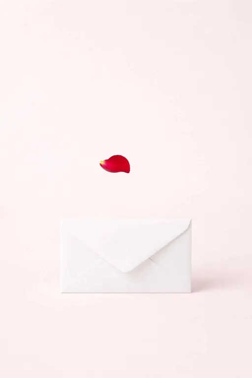Vertical 2:3 minimalist studio card showing a pristine white envelope anchored at the lower third with a single red rose petal gently floating above against a soft blush background and abundant negative space.