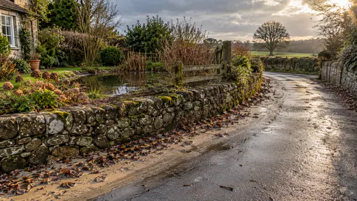 A narrow lane just emerged from a flood shows a band of fine pale silt and a line of leaf litter marking the high-water tide line against the kerb and the foot of a stone wall with the surface glistening in damp overcast light.