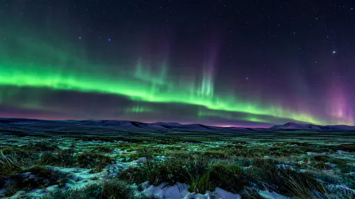 A low green aurora arc lies parallel to the horizon over a wide open plain with its lower edge sharply defined under a sky full of stars.