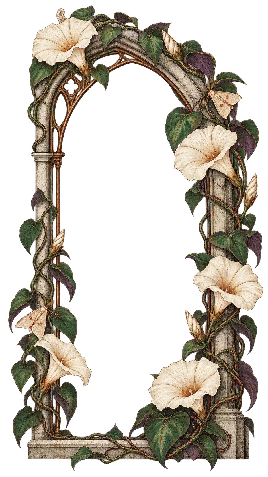 Botanical illustration border of an asymmetrical arched window frame traced by moonflower vines and two pale moths, drawn in fine copperplate linework with deep aubergine, oxidized green and copper gouache accents; the wide crescent-shaped centre stays fully transparent as a safe area for overlaying artwork or text.