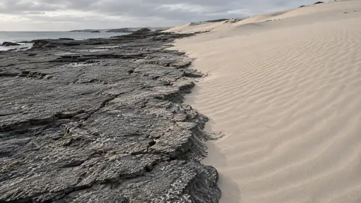 A flat cracked grey rock shelf runs into a pale rippled sand dune along a clear diagonal line, raking low light picking out the ripples on one side and the cracks on the other.