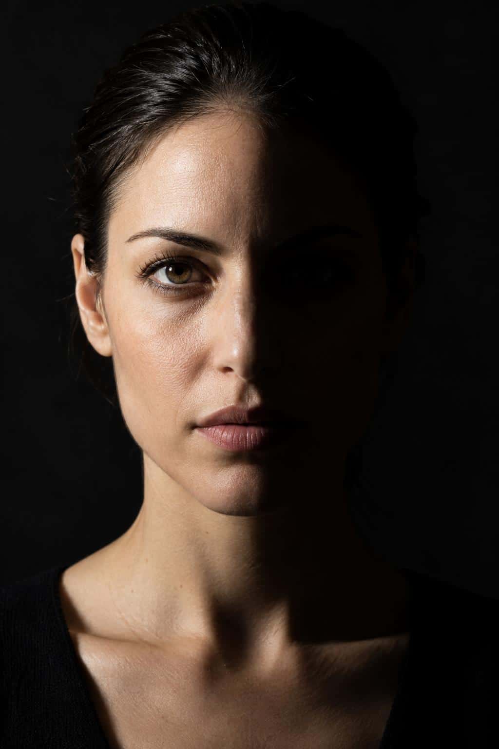Split portrait lighting, prompt only example
