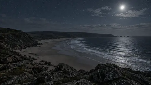 The whole beach is seen from a rocky headland at night with the surf line drawn pale along the shore far below and dark headland rocks in the foreground.