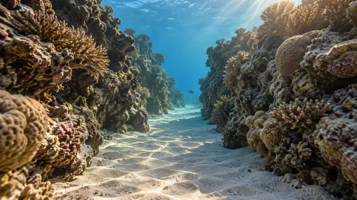 A quiet narrow sandy channel between two worn coral walls with readable wall textures and sand ripples lies at rest in clear late-day light with one distant small fish just entering the far mouth.