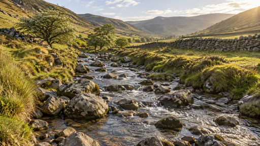 Clear water threads between rounded grey stones in a shallow upper streambed with grass banks on both sides and a drystone wall crossing the hillside beyond in bright diffuse light.
